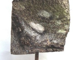 «Ecorce», 2009 70 x 20 cm Technique mixte sur écorce