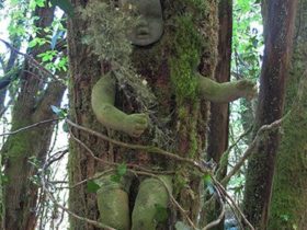 Installation, « Fusion », Saint Mexant, 2014