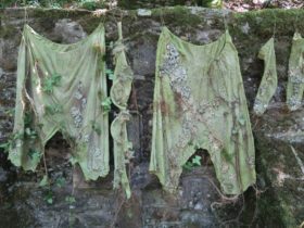 Les vêtements de la Fontaine - Forêt de Blanchefort - 2018