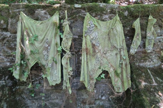 Les vêtements de la Fontaine - Forêt de Blanchefort - 2018