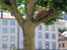 Installation, rue des Arts, Tulle, 2016