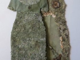 Robes de lichens